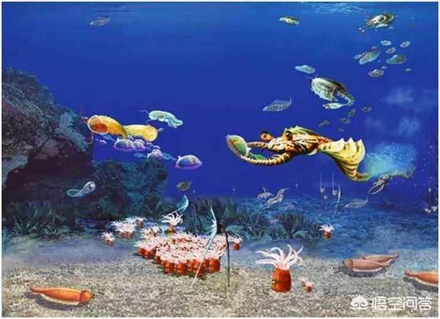 寒武纪为什么会突然的发生生物物种大爆发？