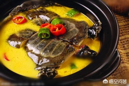 补肾甲鱼汤的做法，甲鱼对男人的营养价值是多少？
