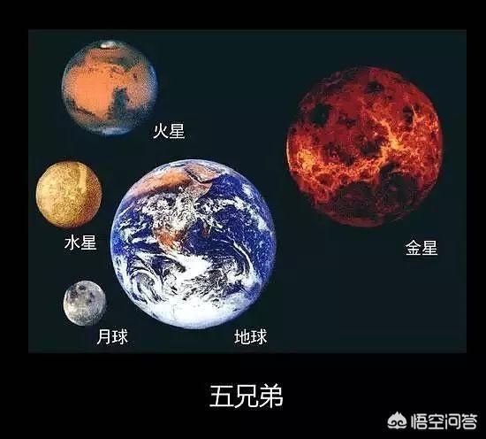 地球有多大？