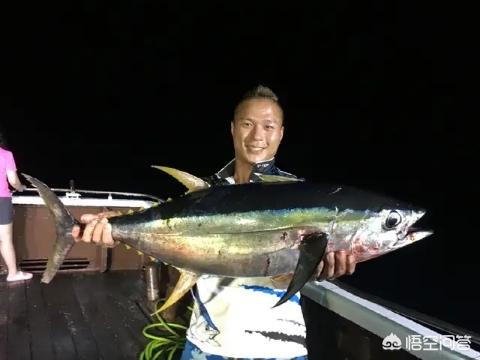台湾成功港旗鱼价格多少钱一斤:如果让你出海钓一次鱼，你愿意出多少钱？