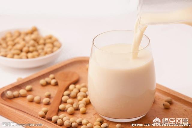 豆浆能和牛奶一起喝吗，豆浆可不可以代替牛奶？你怎么看？