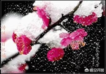 女人一辈子演员表:一个女人的一生，应该做好哪几个角色？