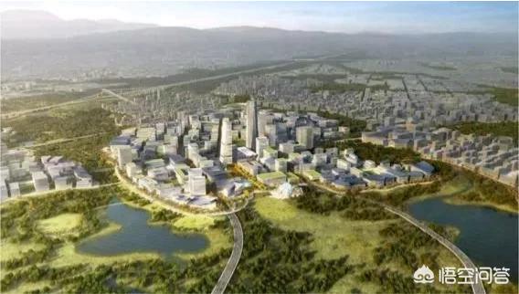 带宠物鸭扫大街萌翻网友:为什么摄影师都喜欢往四川跑？