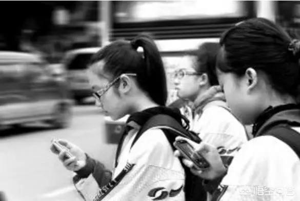 宠必达app官网:孩子写完作业能让玩会手机吗？