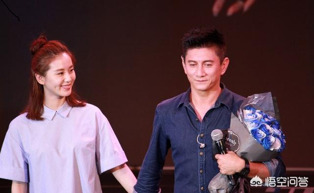 吴奇隆演过的电视剧:刘诗诗和吴奇隆一共合作过几部作品