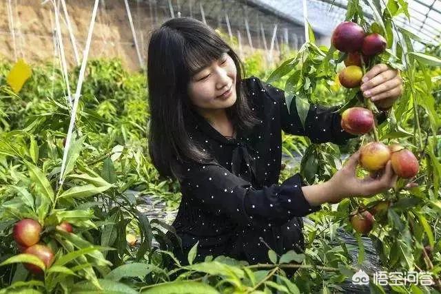 大学生回农村创业，大学毕业回农村创业被村里人嘲笑，该怎么应对如何和他们解释