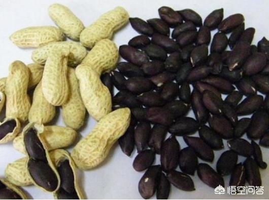 黑花生是转基因食品吗，紫土豆和黑玉米这些产品是转基因产品吗