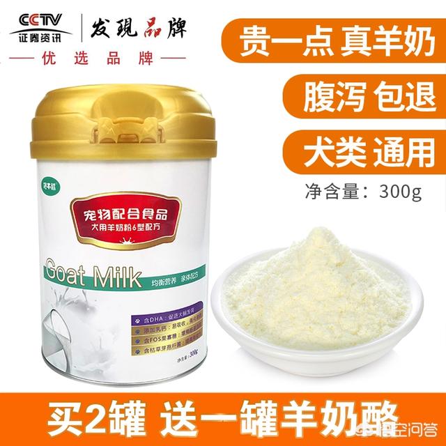 雪纳瑞狗:雪纳瑞在不同的阶段应该怎么饲养？