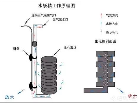 气动式水妖精原理:小型鱼缸里放置了水妖精如何使用效果比较好，需要定期清洗吗？
