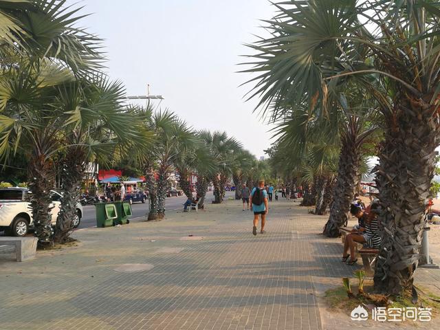 一名潜水者在海底发现了海鬣蜥蜴:第一次出国旅游，去哪个国家好？