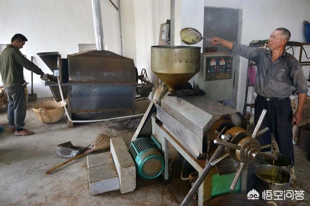 在农村做什么加工厂比较挣钱？