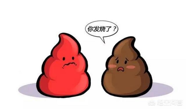 如何分辨真假柯基幼犬:柯基便便什么颜色才是正常的？其它颜色代表什么？