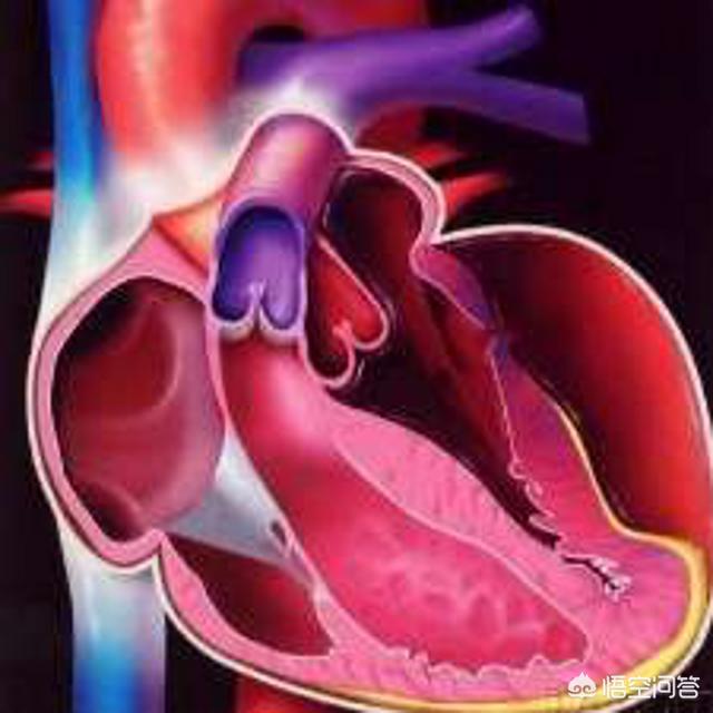 从小肥胖的孩子长大还能瘦吗？