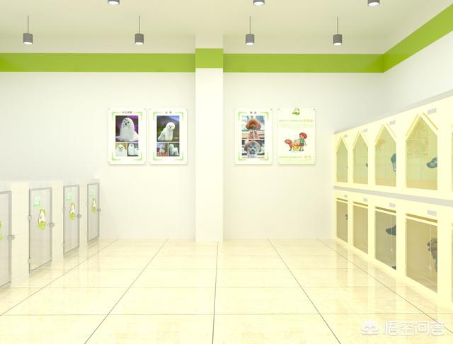 long pets宠物店加盟:开一家宠物店都需要什么手续？