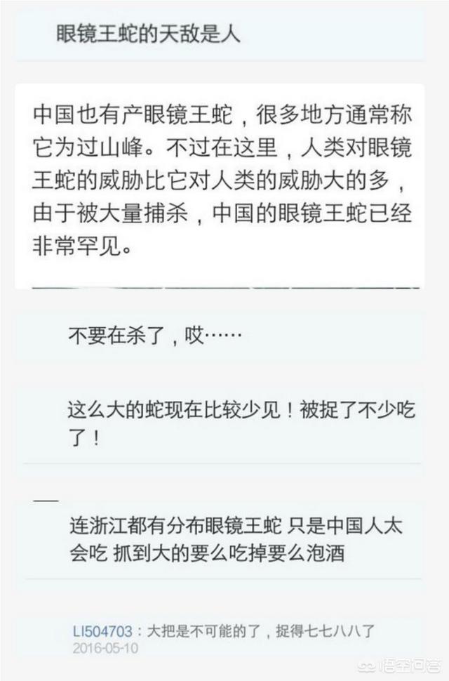 竹叶青蛇壁纸:夏季炎热却是蛇出没的时候，你都见过哪些蛇，有没有抓过？