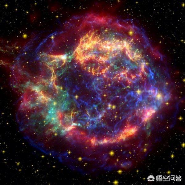 星球探险家几内亚猪:星球探险家驯服怪物 生物的出现是巧合还是必然？