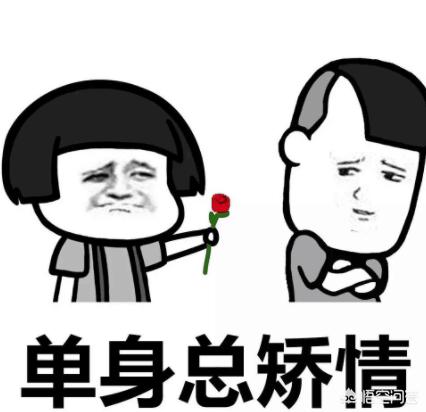 笼中的金丝雀h:自己努力拼搏和嫁个好老公，到底哪个好呢？