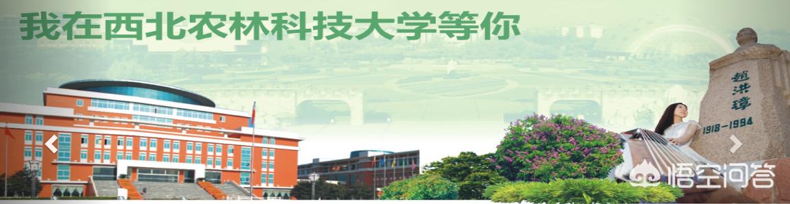 西农葡萄酒学院，西北农林科技大学葡葡酒就业怎么样