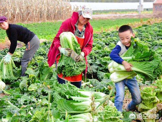 在农村怎么边带孩子边赚钱呢,除了种地,还能干什么呢？
