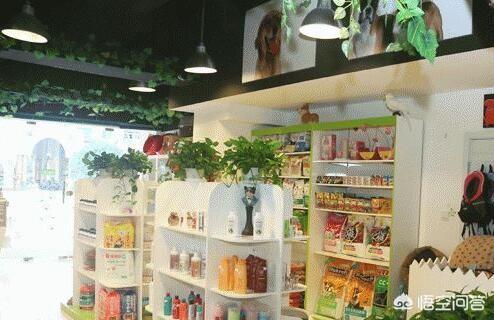 深圳宠物店论坛:想在深圳开家宠物店，加盟哪家好？有介绍的吗？