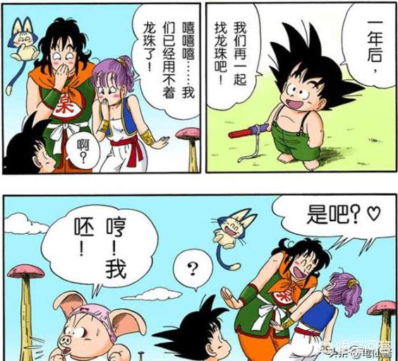 木村那美:《龙珠》中的爱情元素分析，四对夫妻究竟是如何在一起的