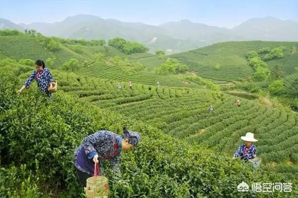 你知道妈妈的生日吗？有没有给她送过生日礼物呢？
