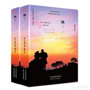 朱令 请愿：东野圭吾的《白夜行》中雪穗有没有爱过亮司？