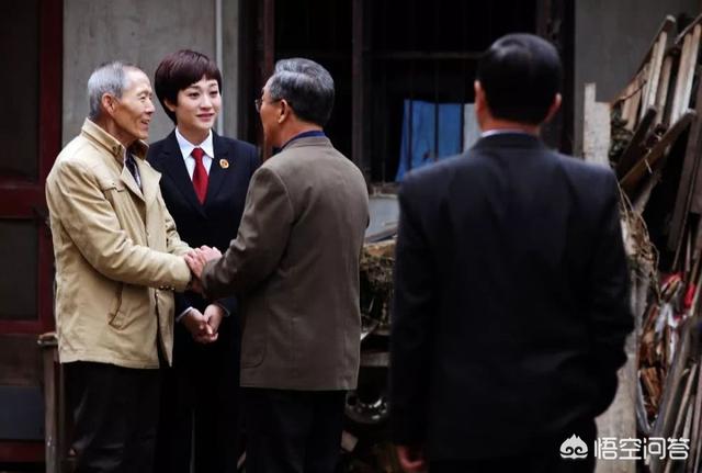 赵冬苓:电视剧《因法之名》怎么样