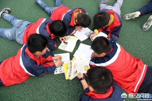 校园暴力事件:面对校园暴力应该如何让施暴者知道代价
