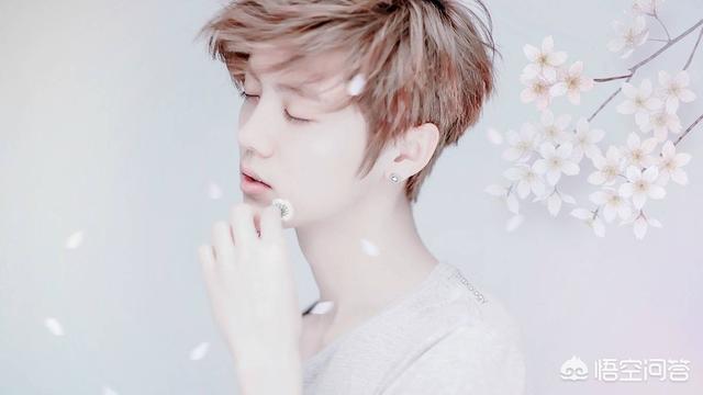 我是大明星程亚丽:有哪些明星是河南新乡的？