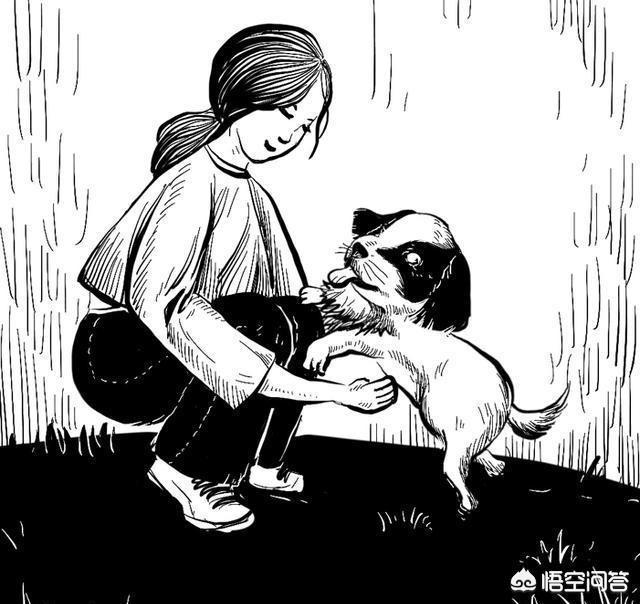 狗狗东西在我里面拔出不来了漫画:狗狗漫画只有养狗的人才能懂 宠物感染了细小病毒，不去医院自己该怎么治疗？