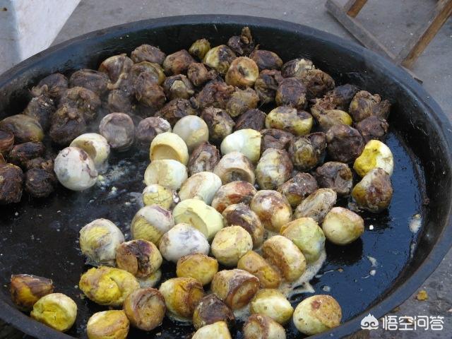 热沃当怪兽:活珠子(毛蛋)，吃过的来报到，说下你的感受？