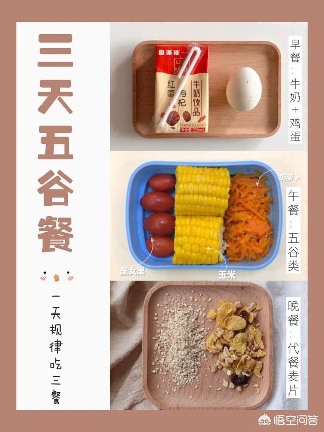 黄油猫悖论:哪种方法能快速减肥又不反弹呢