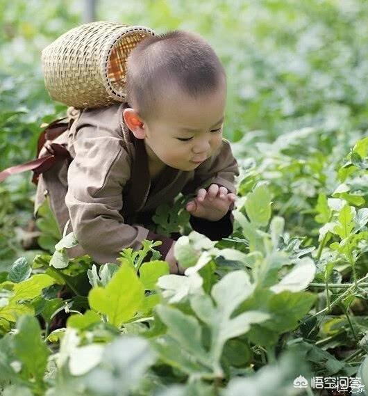 四川人为什么把傻子说成是“瓜娃子”？