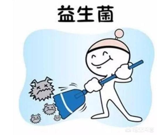 hashiqi壁纸:哈士奇呕吐的原因有哪些？怎么办？