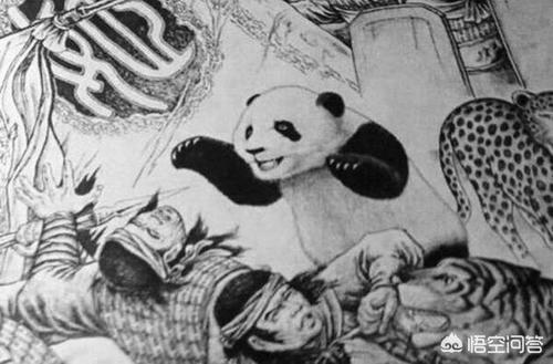 无知熊猫:为什么我国历史上很少关于熊猫的记载？ 无知熊猫头像