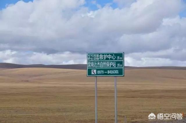 越野千里中国版:哪款国产车越野性能比较好