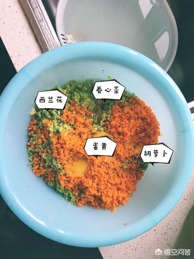 柯基犬图片:柯基成年后吃饭变少变慢了，怎么办？