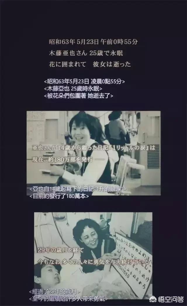 泽尻英龙华图片:出道时走清纯路线，后来人设坍塌的日本女艺人有哪些？