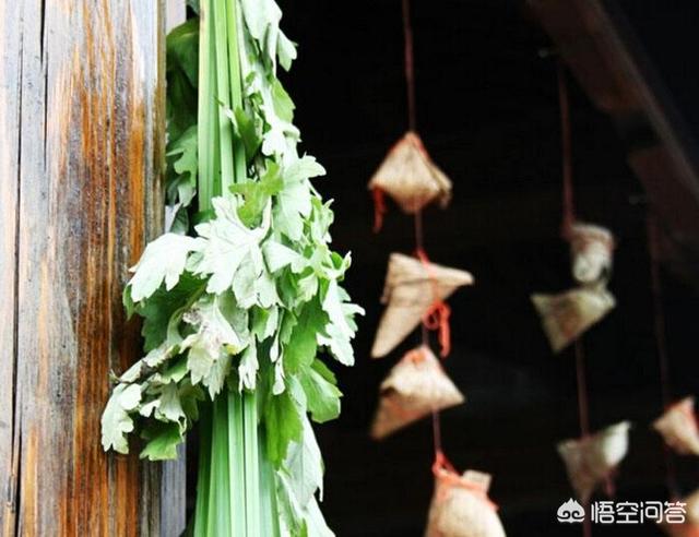 端午节挂艾草:端午节挂艾叶大门要挂几把，怎样挂