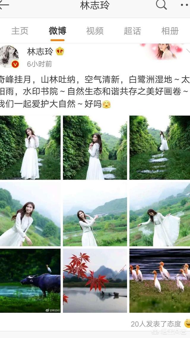 马桶小开:为什么林志玲嫁给了日本人？言承旭在哪里“哭”啊？