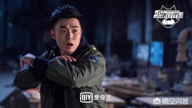 周海媚资料:新版《倚天屠龙记》上映了，剧中有哪些情节让你不得不吐槽两句