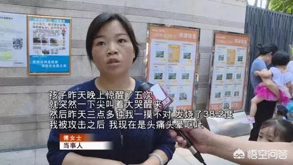 深圳狗狗网怎么:如何看待深圳女童被狗拖拽2米，妈妈出手阻拦竟遭狗主一顿暴揍？