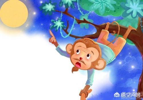 孙悟空的头像图片，和小猴子有关的故事有哪些