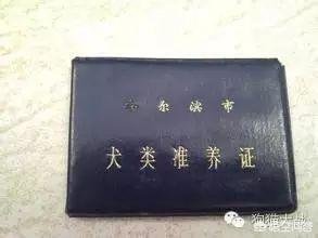 北京犬证如何办理:北京拉布拉多可以上狗证吗？