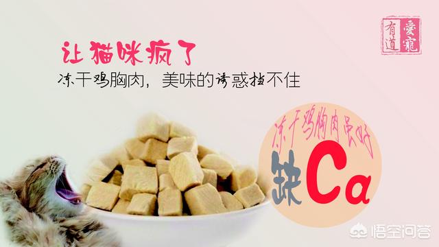 宠物食品配方工程师:宠物食品研发工程师 自制冻干猫零食，如何自制猫冻干？