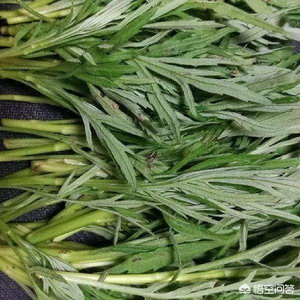 柳蒿芽是达斡尔族人最喜欢的美食,怎么做更好吃？