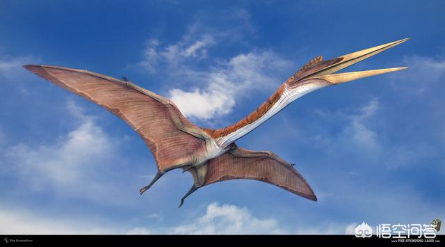 恐龙飞向蓝天演化成鸟类的过程,几十吨重的恐龙是如何飞上蓝天的？