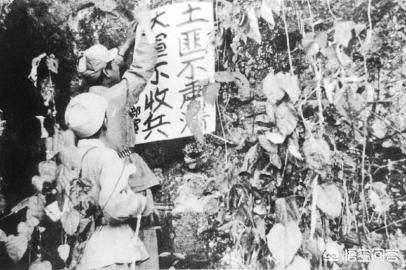 八十年代嫁恶霸:莆田案受害者妻子死了，孩子以后也伤残，这件事会影响他再婚吗？