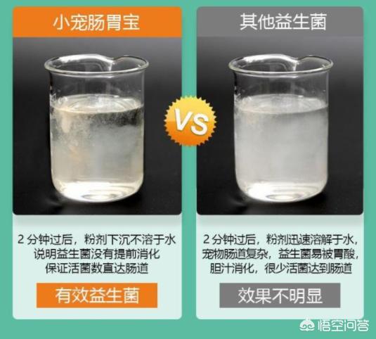 罗斯蔓狗狗清洁除味排行榜:家里刚养狗，总有狗味。拖地，开窗户都解决不了，怎么办？